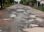 Jalan Rusak di Tumijajar, Lampung: Warga Mengeluh, Dinas BMBK Beri Penjelasan