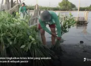 Deforestasi Indonesia Meningkat, Inisiatif Pemulihan Hutan Semakin Mendesak