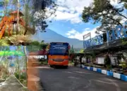 Holding Perkebunan Nusantara Sulap Kebun Karet Tak Produktif Menjadi Agrowisata Edukatif