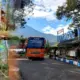 Diversifikasi Bisnis, HPN Kembangkan Kebun Karet Tak Produktif Jadi Wisata Edukatif