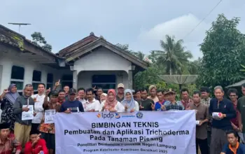 Dosen Polinela Bimbing Petani Pisang Tanggamus Tangani Layu Fusarium dengan Trichoderma
