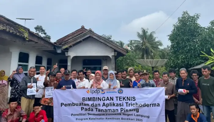 Dosen Polinela Latih Petani Pisang di Tanggamus Atasi Penyakit Layu Fusarium dengan Trichoderma