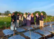 Dosen Polinela TPTH Teliti Peluang Budidaya Bawang Putih di Dataran Rendah