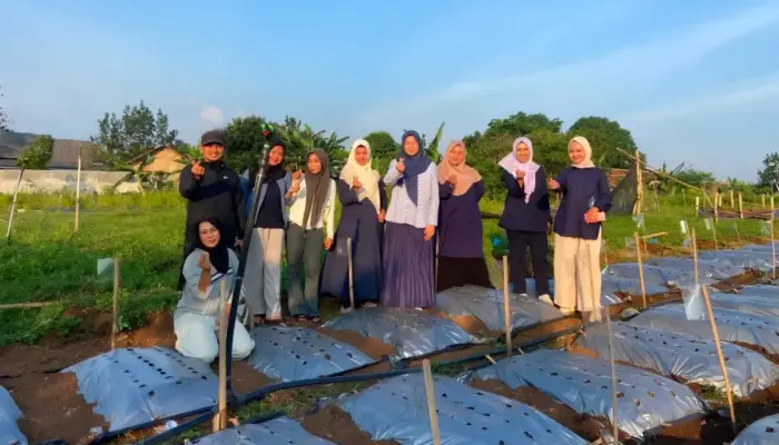 Tim Dosen Polinela TPTH Teliti Potensi Bawang Putih Tumbuh di Dataran Rendah