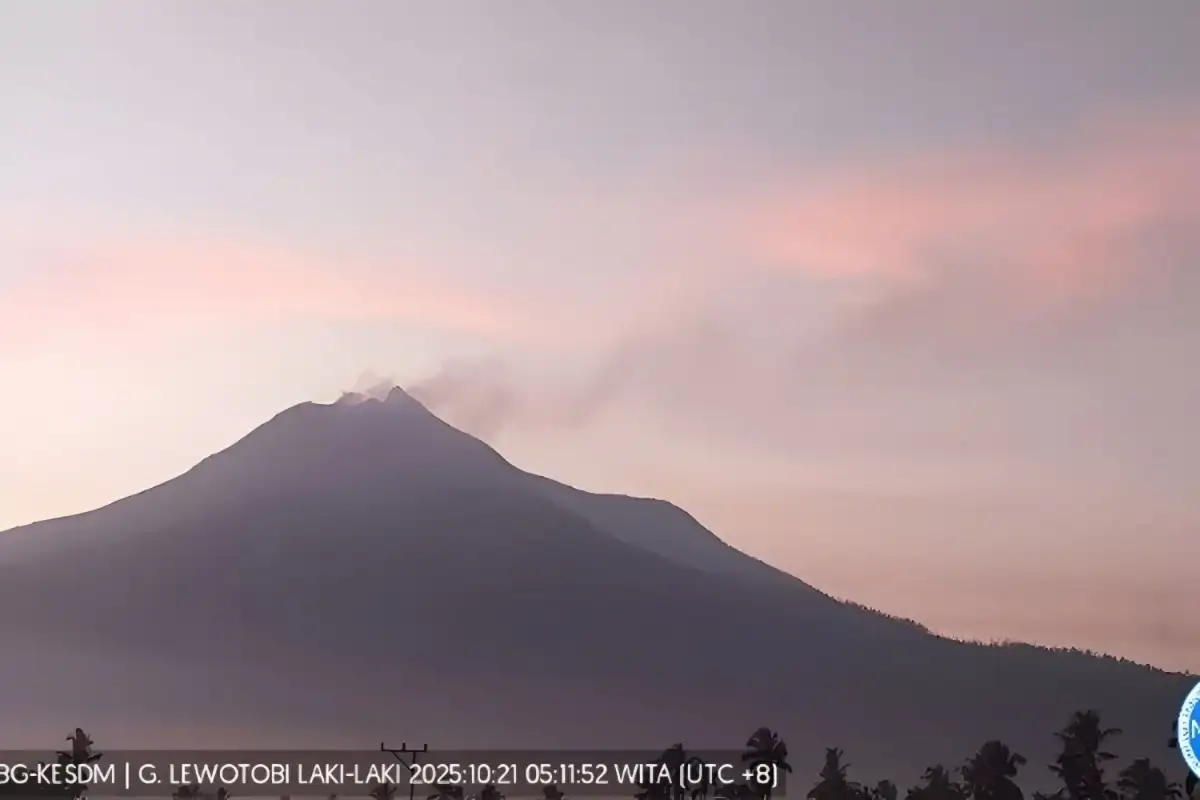 Gunung Lewotobi Laki-laki Alami Peningkatan Aktivitas, PVMBG Imbau Warga Jaga Jarak 7 Km