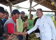 Jaringan Irigasi Air Tanah Kementerian PU Ubah Pertanian Gunungkidul, Panen Tiga Kali Setahun Jadi Nyata