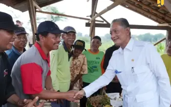 Jaringan Irigasi Air Tanah Kementerian PU Ubah Pertanian Gunungkidul, Panen Tiga Kali Setahun Jadi Nyata