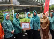 Canangkan Desa Tapis, Ketua TP PKK Lampung Kagum Hasil Pertanian Lampung Barat 15 Ketua TP PKK Lampung Kagum dengan Potensi Pertanian Lampung Barat saat Canangkan Desa Tapis