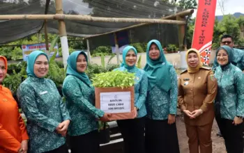 Canangkan Desa Tapis, Ketua TP PKK Lampung Kagum Hasil Pertanian Lampung Barat 8 Ketua TP PKK Lampung Kagum dengan Potensi Pertanian Lampung Barat saat Canangkan Desa Tapis