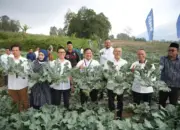 Menko Zulkifli Hasan Panen Brokoli dan Ayam Petelur di Rumah Pangan PNM: Dorong Ketahanan Pangan Nasional