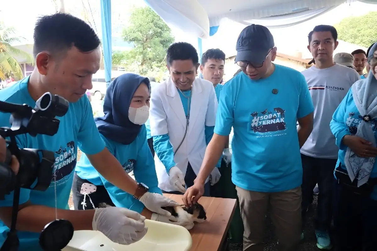 Menuju Lampung Sehat, Pemprov Targetkan Zero Rabies dan Swasembada Protein Hewani