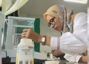 Polinela Kembangkan Melon Oriental Toleran Salinitas untuk Lahan Marginal