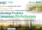 Polinela Perluas Arah Pendidikan Vokasi, Buka Program Studi Teknologi Produksi Tanaman Perkebunan 11 Polinela Resmi Luncurkan Prodi Baru Teknologi Produksi Tanaman Perkebunan