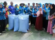 Ketua TP PKK Tulang Bawang Pantau Panen Padi di Rawajitu Selatan, Dukung Ketahanan Pangan