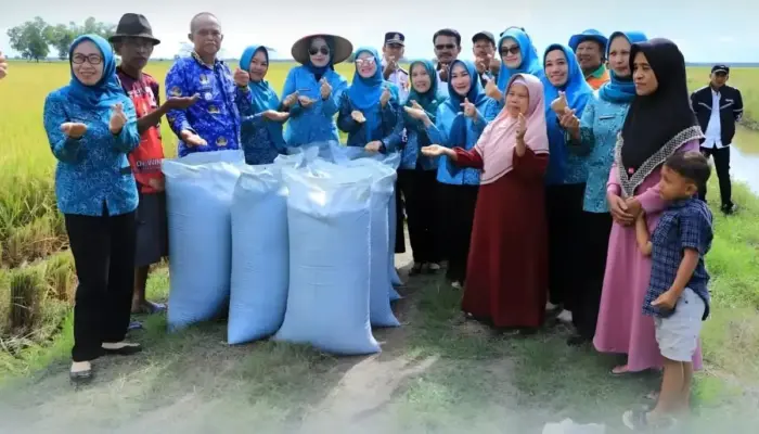 Ketua TP PKK Tulang Bawang Pantau Panen Padi di Rawajitu Selatan, Dukung Ketahanan Pangan