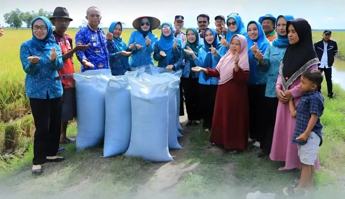 Sukseskan Program Ketahanan Pangan, Ketua TP PKK Tulang Bawang Turun Langsung ke Panen Padi