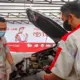 Toyota Buka Layanan Cek Baterai Gratis untuk Mobil Hybrid dan Listrik, Cek Syaratnya