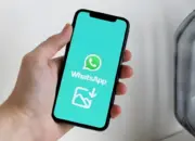 Cara Agar Foto dan Video WhatsApp Tidak Otomatis Tersimpan di Galeri