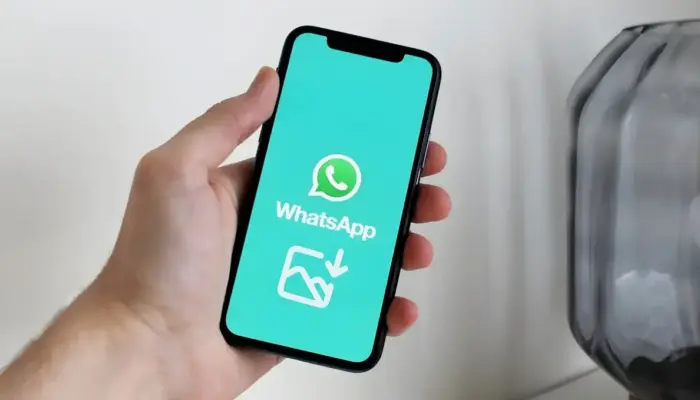 Cara Agar Foto dan Video WhatsApp Tidak Otomatis Tersimpan di Galeri