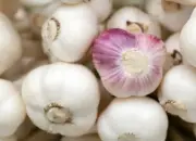 Begini Cara Tepat Konsumsi Bawang Putih untuk Menjaga Kesehatan