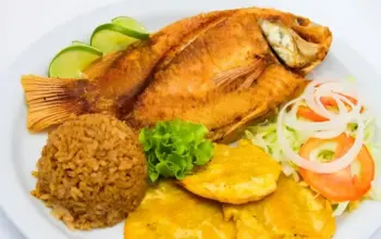 Ikan Nila Jadi Bintang Dapur: 16 Resep Super Variatif dari Goreng hingga Kuah Santan