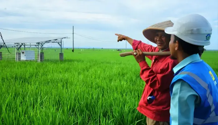 Listrik PLN Hadirkan Harapan Baru Petani Trimomukti: Dari Ketergantungan Hujan Menuju Pertanian Modern