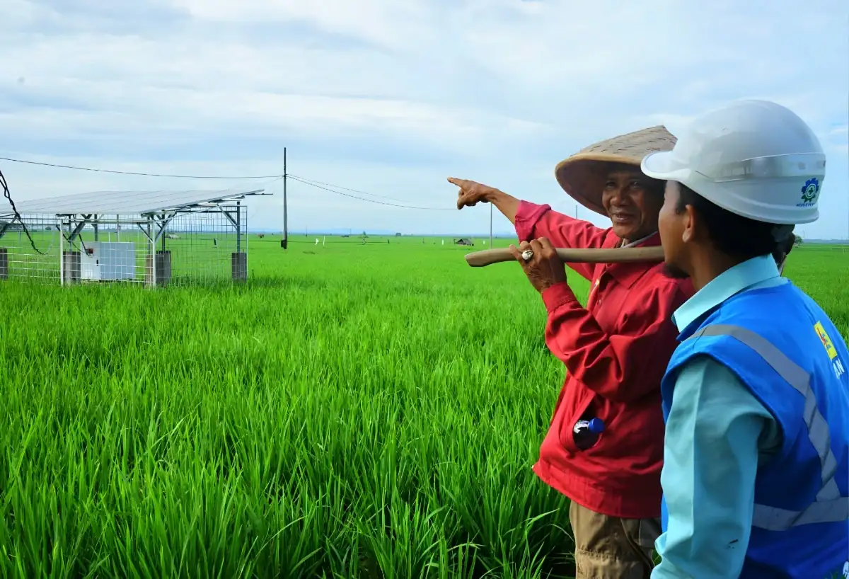 PLN Lampung Hadirkan Listrik untuk Rakyat, Bantu Petani Trimomukti Panen Harapan Baru