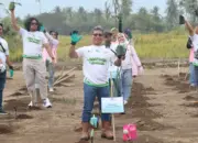 Peringati Hari Menanam Pohon Indonesia 2025, PLN Tanam Seribu Pohon Energi di Lampung Selatan