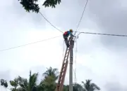 PLN UP3 Kotabumi Pulihkan Listrik Pasca Puting Beliung di Blambangan Pagar 11 PLN Lampung Bergerak Cepat Pulihkan Jaringan Listrik Usai Puting Beliung di Blambangan Pagar
