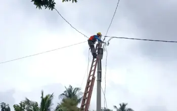 PLN UP3 Kotabumi Pulihkan Listrik Pasca Puting Beliung di Blambangan Pagar 4 PLN Lampung Bergerak Cepat Pulihkan Jaringan Listrik Usai Puting Beliung di Blambangan Pagar