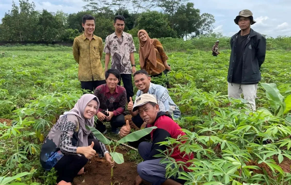 Polinela Kembangkan Pisang Kultur Jaringan untuk Genjot Produksi Unggul di Tanggamus