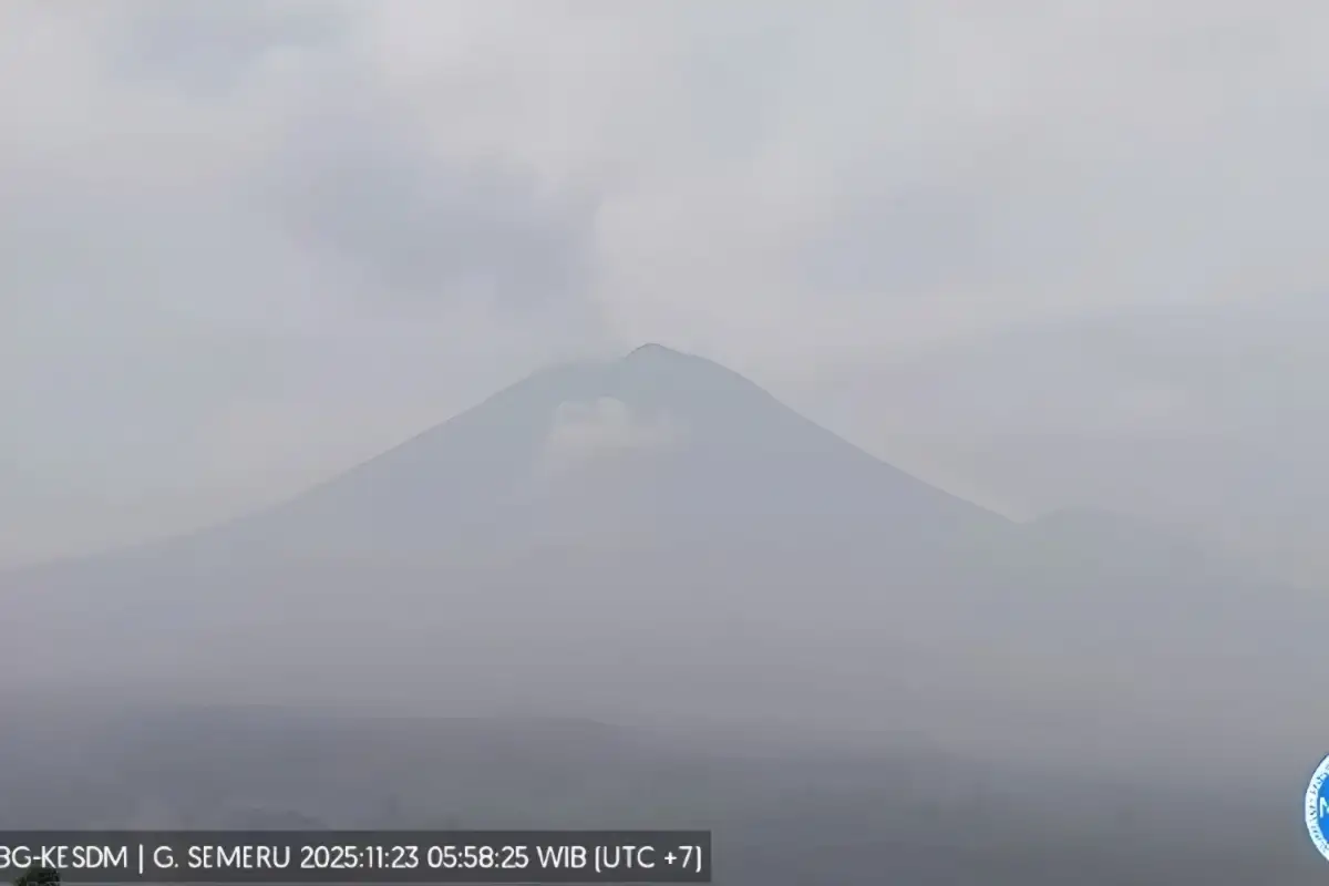 Status Semeru Pagi Ini: Asap Putih 1000 Meter, 36 Letusan Tercatat Hingga Jam 6