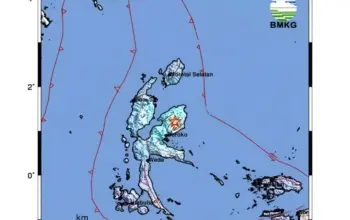Terkini! Gempa M 5,2 Goyang Halmahera Timur, Getaran Terasa Sampai Tobelo