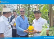 Panen Melon di Tanjung Bintang, Wabup Lampung Selatan Dorong Desa Terapkan Pertanian Cerdas dan Modern 16 Wakil Bupati Lampung Selatan Dorong Desa Terapkan Pertanian Cerdas saat Panen Melon di Tanjung Bintang