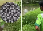 Warga Geger! Jenazah Ditemukan di Bawah Rel Kereta Kalasan, Diduga Tertabrak KA 11 Warga Geger! Sesosok Mayat Ditemukan di Bawah Rel Kereta Kalasan, Diduga Tertabrak KA