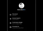 X Tambah Fitur Penanda Negara Asal Akun, Upaya Perangi Bot Kian Terbuka