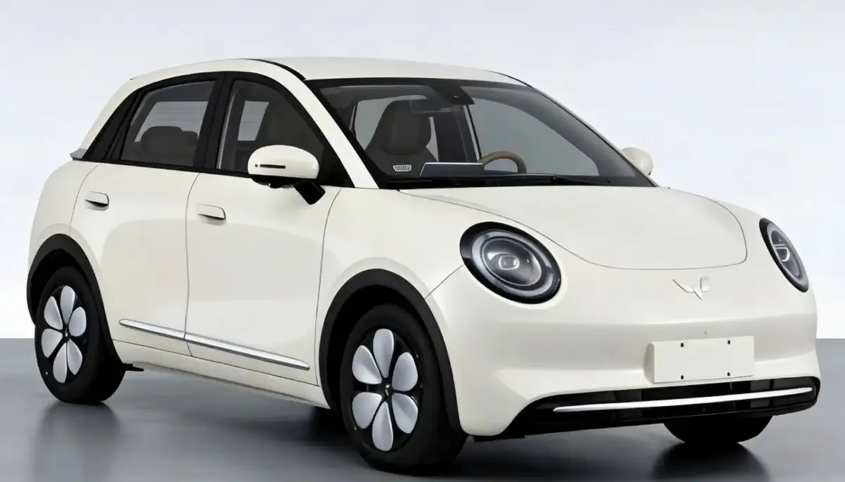 Bocoran Dokumen Regulasi Ungkap Wujud Wuling Binguo Pro