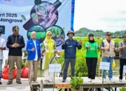 KOPRI Eco Movement 2025 di Pesawaran: Gerakan Perempuan Selamatkan Pesisir Lewat Penanaman 5.000 Mangrove