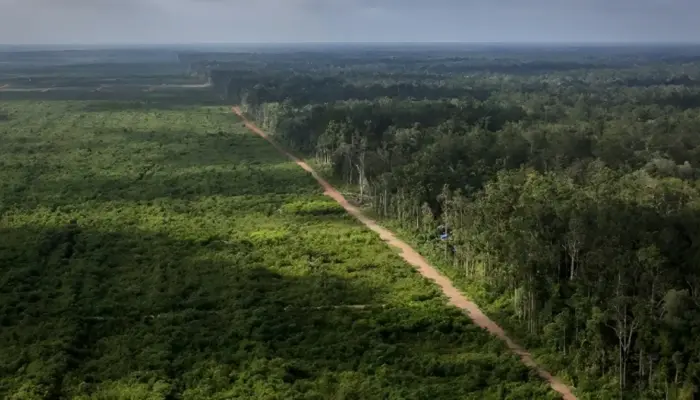 Banjir Bandang Sumatera: Alarm Krisis Ekologi yang Kian Nyata
