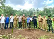 Tanam Perdana, Pesawaran Genjot Peremajaan Kakao Sebagai Komoditas Unggulan 14 Kelompok Tani Kakao Pesawaran Lakukan Tanam Perdana, Genjot Peremajaan Komoditas Lokal