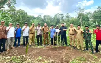 Tanam Perdana, Pesawaran Genjot Peremajaan Kakao Sebagai Komoditas Unggulan 7 Kelompok Tani Kakao Pesawaran Lakukan Tanam Perdana, Genjot Peremajaan Komoditas Lokal