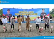 Komitmen Perkuat Ketahanan Nasional, Lampung Selatan Siap Jadi Lumbung Pangan 11 Lampung Selatan Mantapkan Langkah Jadi Lumbung Pangan Nasional