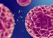 Terobosan MIT: Sintesis Verticillin A Berhasil, Harapan Baru Basmi Kanker Otak 7 Peneliti MIT Ungkap Kunci Sintesis Verticillin A untuk Mengatasi Kanker Otak