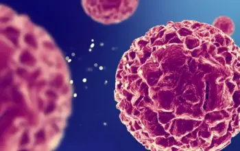 Terobosan MIT: Sintesis Verticillin A Berhasil, Harapan Baru Basmi Kanker Otak 4 Peneliti MIT Ungkap Kunci Sintesis Verticillin A untuk Mengatasi Kanker Otak