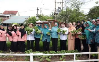 Ketua TP PKK Lampung Canangkan Nusantara Permai sebagai Desa Tapis, Ajak Warga Perkuat Ketahanan Pangan 4 Nusantara Permai Bandar Lampung Resmi Jadi Desa Tapis, Ketua TP PKK Dorong Warga Perkuat Ketahanan Pangan