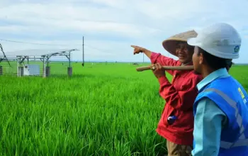 Smart Farming PLN Bangkitkan Kesejahteraan Petani Trimomukti 8 Program Smart Farming PLN Bantu Sejahterakan Petani Trimomukti, Lampung Selatan
