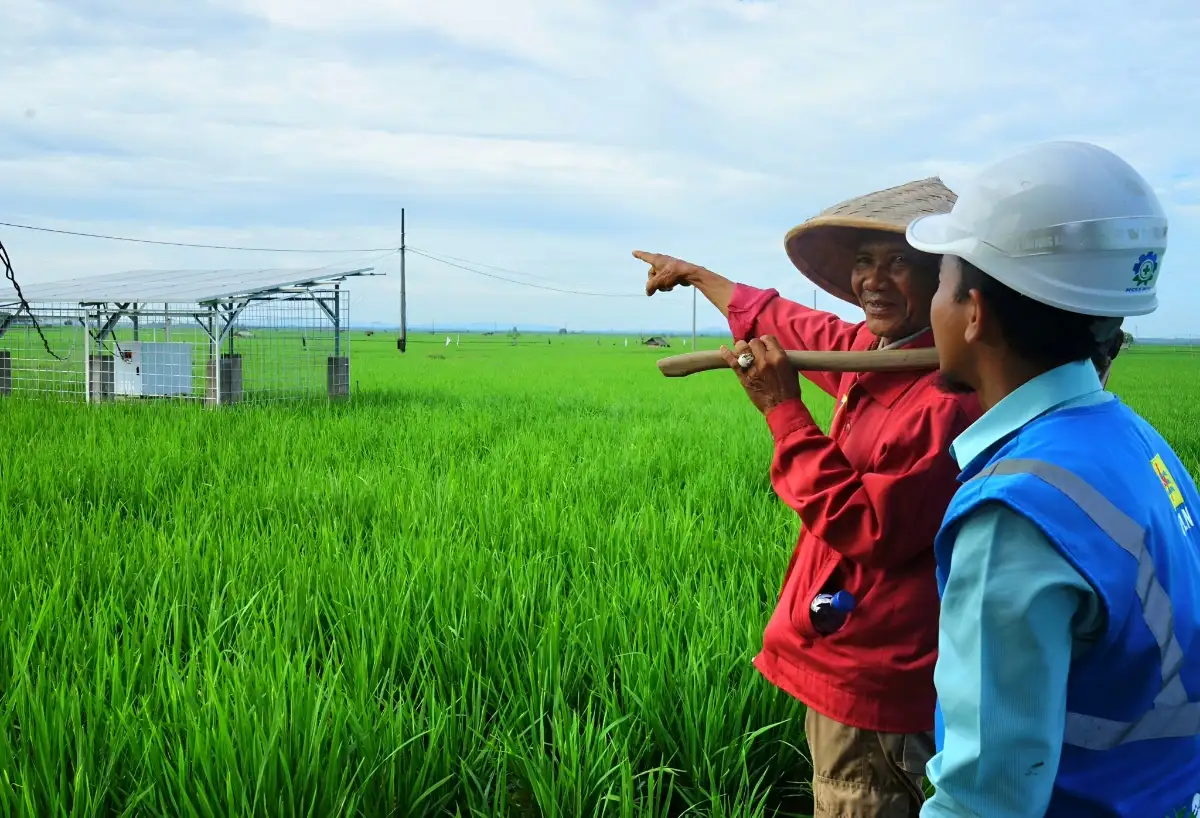 Program Smart Farming PLN Bantu Sejahterakan Petani Trimomukti, Lampung Selatan
