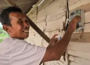 Rumah Soleman di Lampung Selatan Akhirnya Terang Berkat Program Light Up the Dream PLN 15 Puluhan Tahun Mengandalkan Listrik Tetangga, Gubuk Soleman Kini Resmi Teraliri Daya