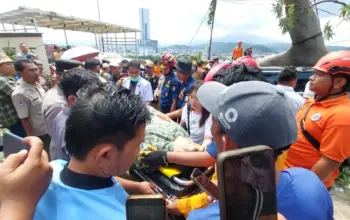 Pohon Besar Tumbang di Holiday Inn Randu Bandar Lampung, Timpa Dua Mobil dan Warga Jakarta 6 Tumbangnya Pohon Besar di Holiday Inn Randu Hotel Bandar Lampung, Dua Mobil dan Warga Jakarta Terkena Imbas