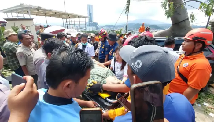Pohon Besar Tumbang di Holiday Inn Randu Bandar Lampung, Timpa Dua Mobil dan Warga Jakarta
